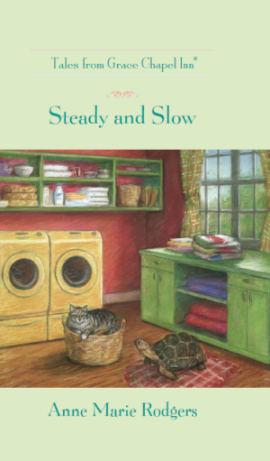 Steady and Slow Book Cover