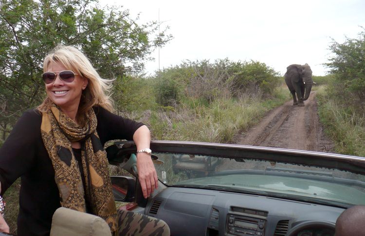 Guideposts: Françoise, riding in the back of an open jeep, comes upon an elephant on the road