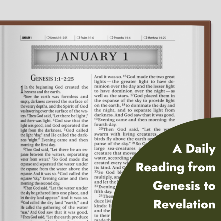 Mornings with Jesus Daily Bible-14316