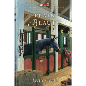 Plain Beauty - Mysteries of Lancaster County - Book 6