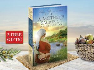 Ordinary Women of the Bible Book 1: A Mother's Sacrifice-0