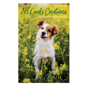 All God's Creatures Magazine-0