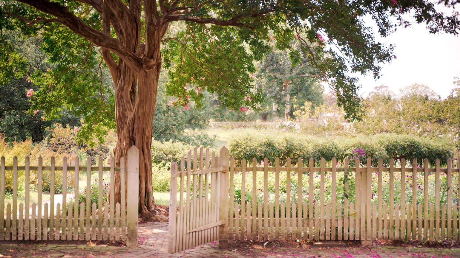 Picket fence guarding a beautiful garden; Getty Images