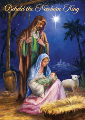 Newborn King Christmas Cards-0