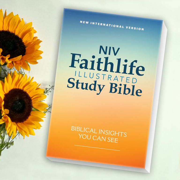 NIV Faithlife Illustrated Study Bible-26050
