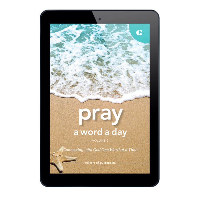 Pray a Word a Day Volume 2-24891
