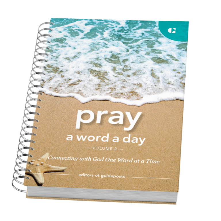 Pray a Word a Day Volume 2-24885