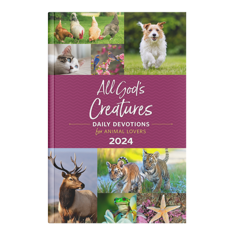 All God's Creatures 2024-28475