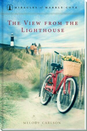 The View from the Lighthouse Book Cover
