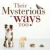 Their Mysterious Ways Too Book Cover