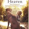 Paws from Heaven: True Stories of God's Amazing Animal Angels