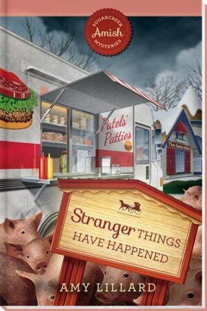 Stranger Things Have Happened - Sugarcreek Amish Mysteries - Book 18