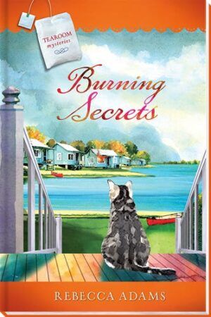 Burning Secrets Book Cover