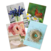 Free Note Cards with purchase of Hardcover edition