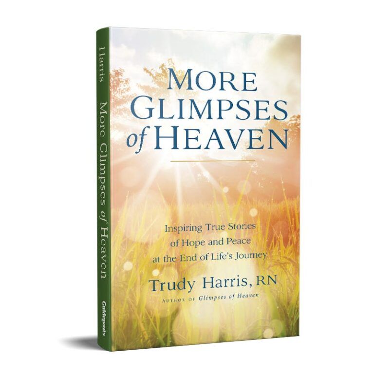 More Glimpses of Heaven & Amazing Stories of Life After Death-26401
