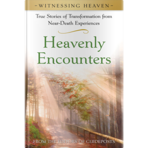 Witnessing Heaven Book 1: Heavenly Encounters-26818