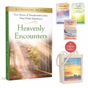 Witnessing Heaven Book 1: Heavenly Encounters-0