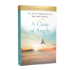 Witnessing Heaven Book 5: A Choir of Angels-13382