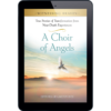 Witnessing Heaven Book 5: A Choir of Angels-13385