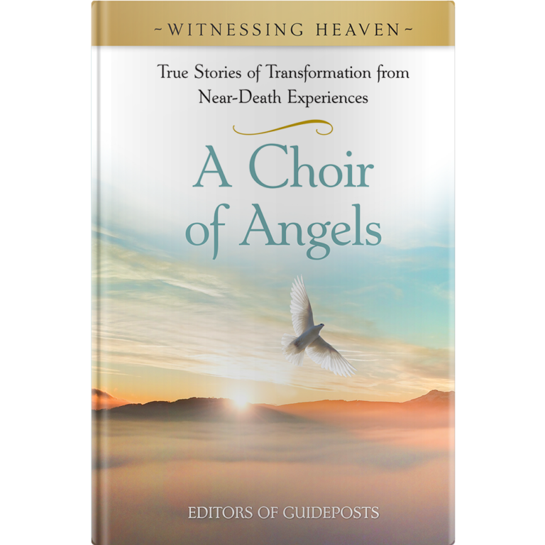 Witnessing Heaven Book 5: A Choir of Angels-0