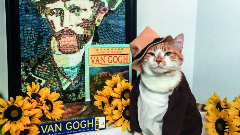 Horatio the Cat channeling Van Gogh