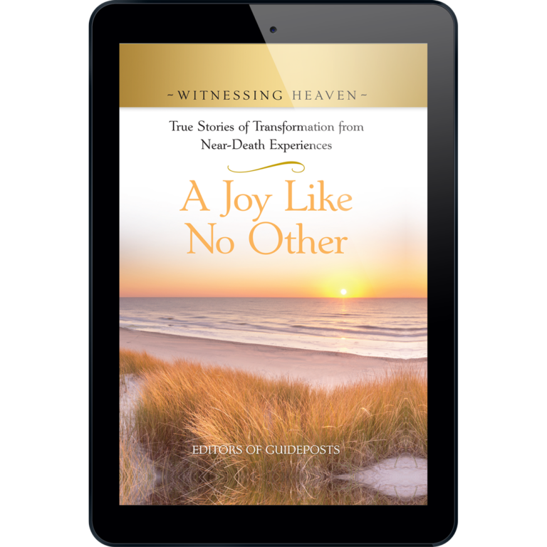 Witnessing Heaven Book 7: A Joy Like No Other-14558