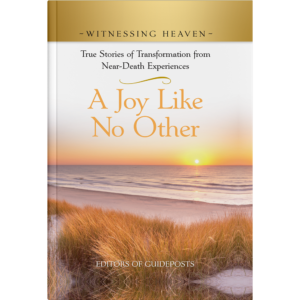 Witnessing Heaven Book 7: A Joy Like No Other-0