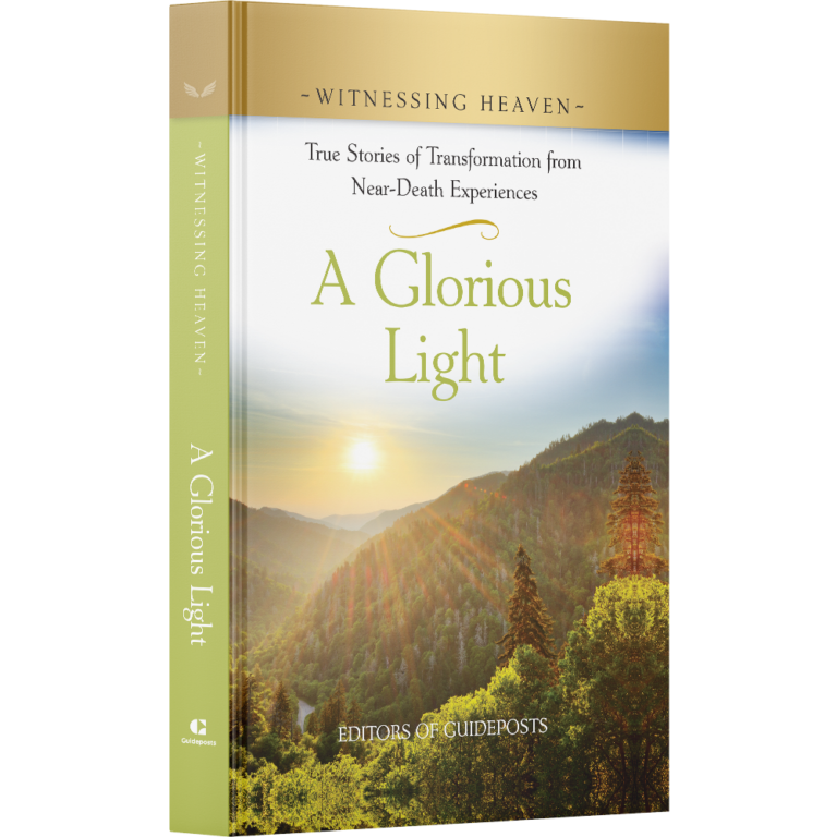 Witnessing Heaven Book 8: A Glorious Light-15524