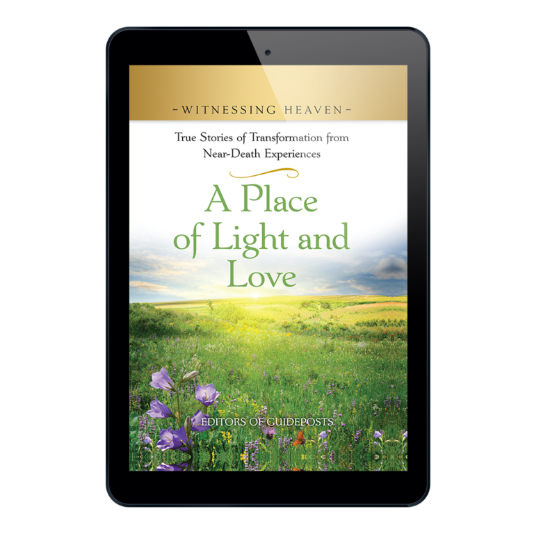 Witnessing Heaven Book 12: A Place of Light and Love-25638