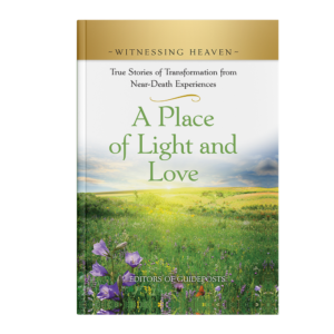 Witnessing Heaven Book 12: A Place of Light and Love-0